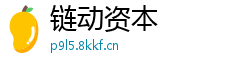链动资本