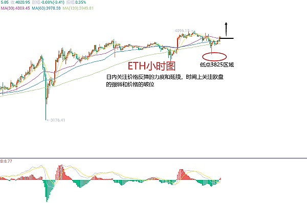 Bigtime漏洞引爆市场恐慌：山寨币何去何从？